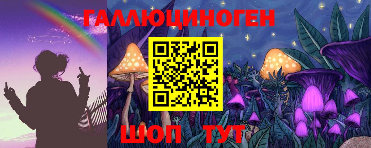 Псилоцибиновые грибы GOLDEN TEACHER Краснознаменск